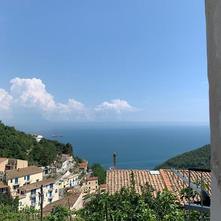 Pippo'S House Villa Vietri sul Mare Exterior photo