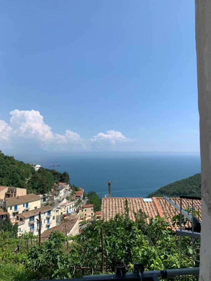 Pippo'S House Villa Vietri sul Mare Exterior photo